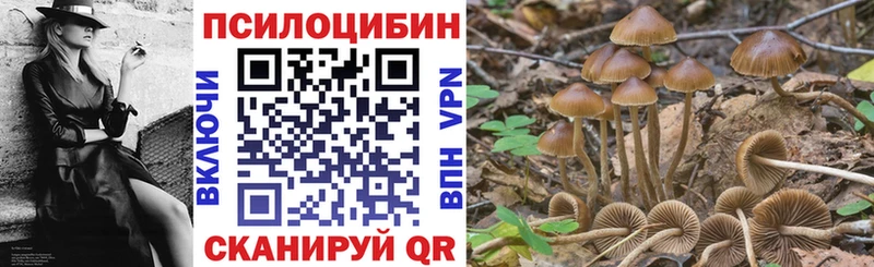 Псилоцибиновые грибы прущие грибы  Власиха 